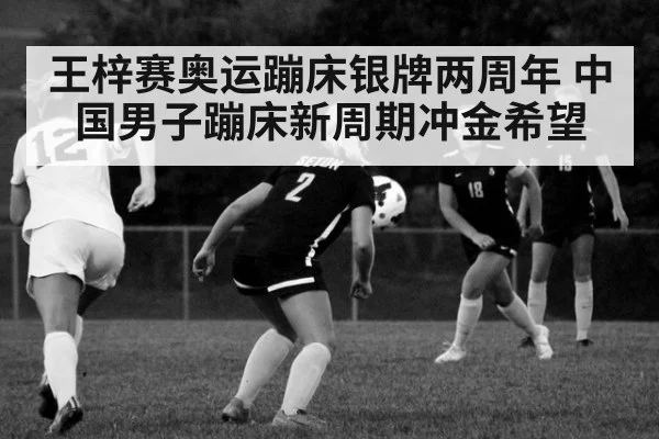 王梓赛奥运蹦床银牌两周年 中国男子蹦床新周期冲金希望 - ayx