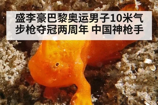 盛李豪巴黎奥运男子10米气步枪夺冠两周年 中国神枪手 - ayx