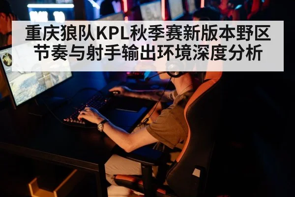 重庆狼队KPL秋季赛新版本野区节奏与射手输出环境深度分析 - ayx